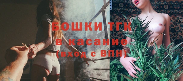 мдпв Кулебаки
