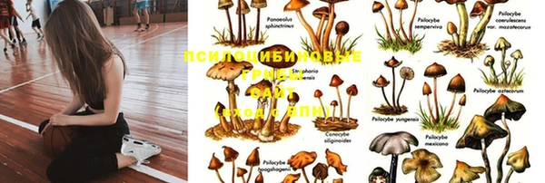 MDMA Орск