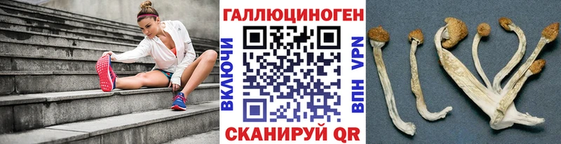 Галлюциногенные грибы Psilocybine cubensis  сколько стоит  Сольцы 